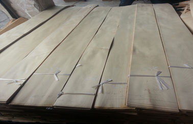 AA درجه سفید / سفید توس روکش چوب روتاری برش ساختمانی