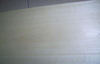 ضخامت 0.5mm ورقه چوب روکش شده، طبیعی سفید توس روکش برای مبلمان